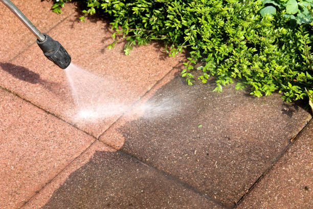 Best Local Pressure Washing Services  in Franklin, VA